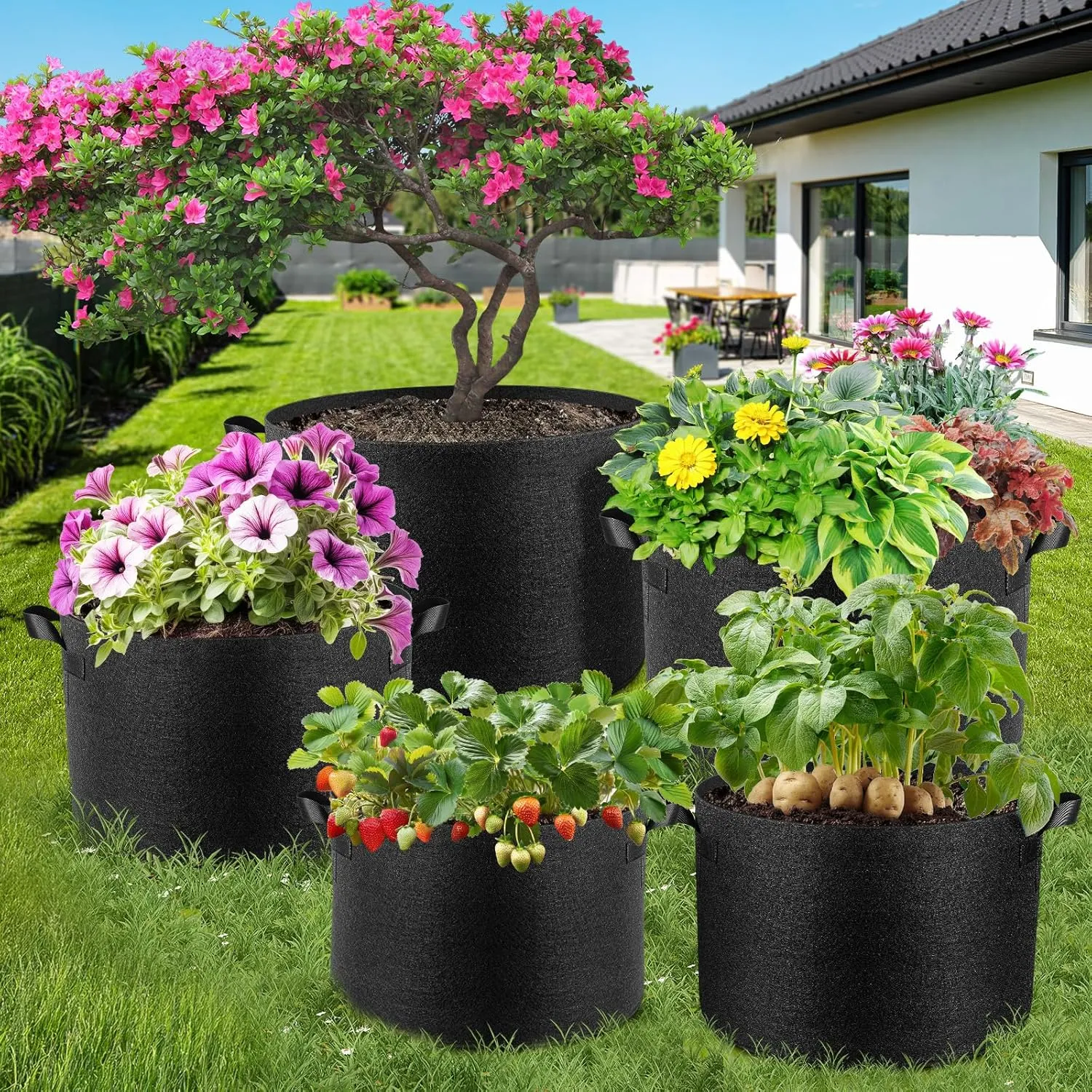 5 Pack 5 Gallon Thickened Grow Bags, Aeration Nonwoven Fabric Plant Pots with Durable Handles, Heavy Duty 300G Planter Pot for Tomato, Potato and Vegetable
