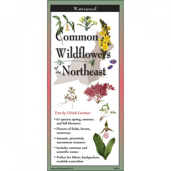 Common Wildflowers of the Northeast - Folding Guide