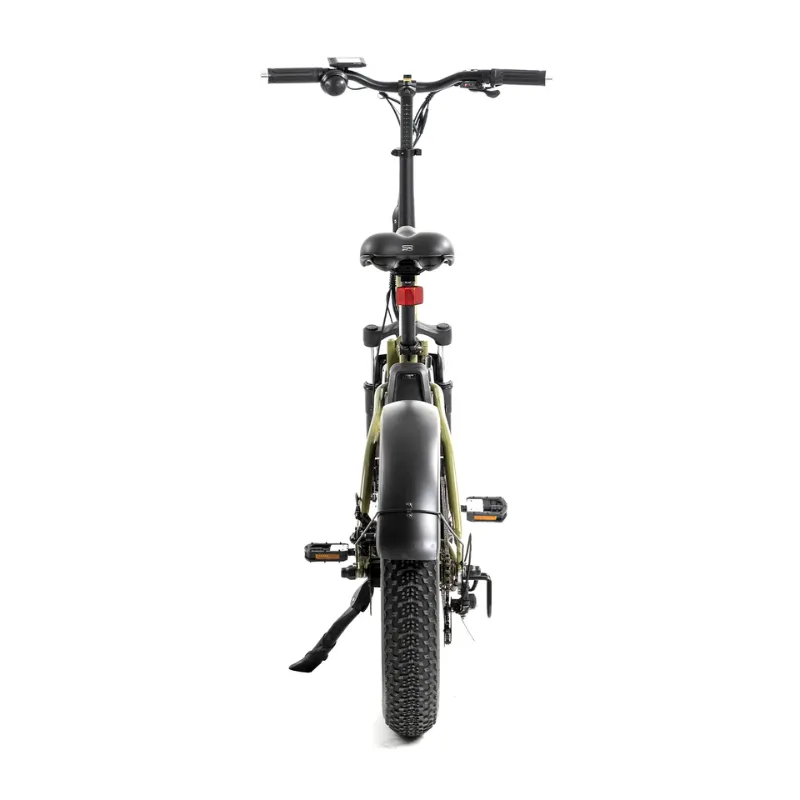 DWMeigi Fat Tire Folding Electric Bike, 48V/13Ah, 500W