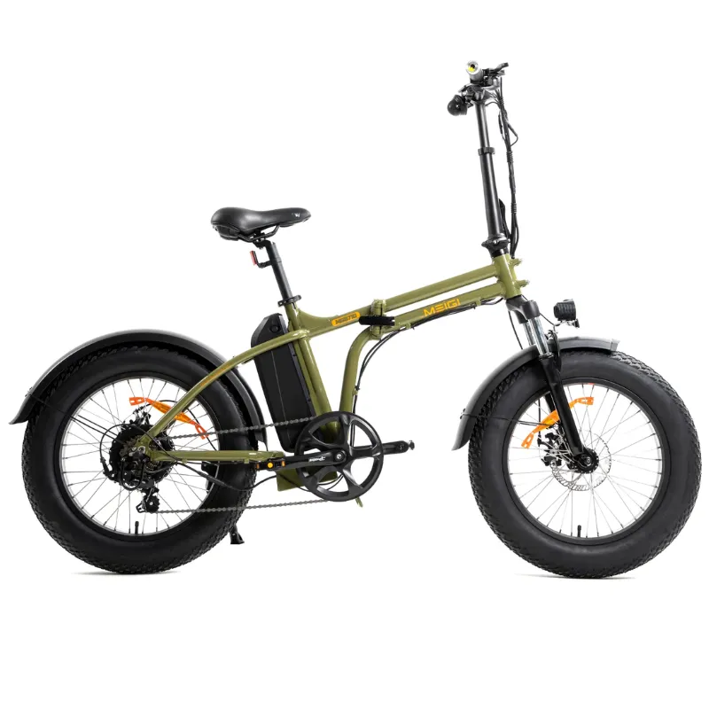 DWMeigi Fat Tire Folding Electric Bike, 48V/13Ah, 500W
