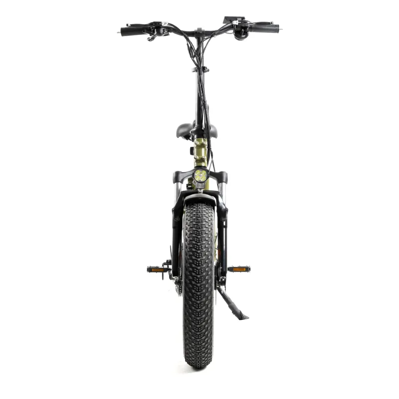 DWMeigi Fat Tire Folding Electric Bike, 48V/13Ah, 500W