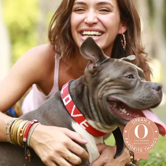 LOVE Pet Collar - Red - Love Is Project