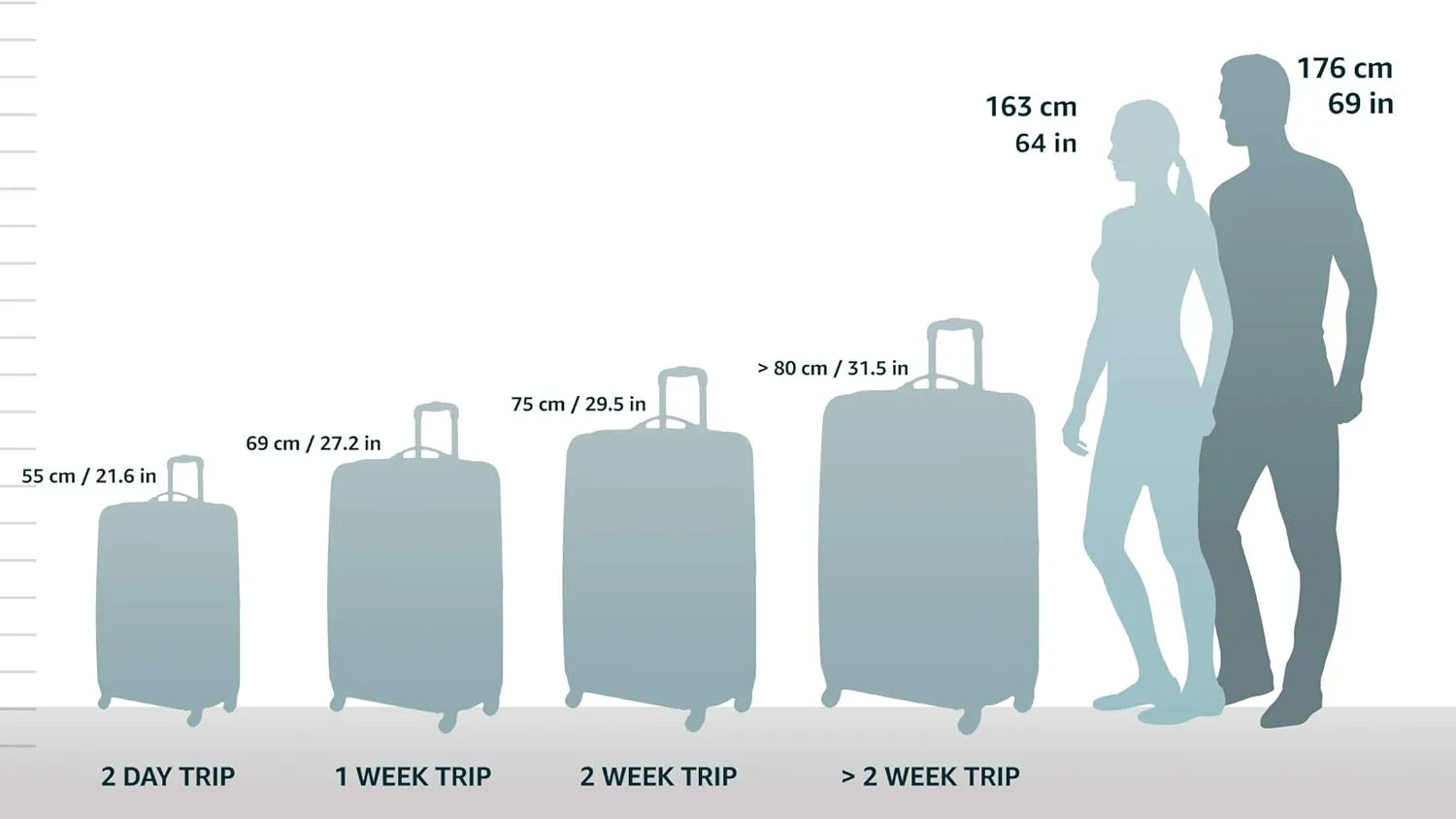 Rockland Safari Hardside Spinner Wheel Luggage, Blue Leopard, Carry-On 20-Inch