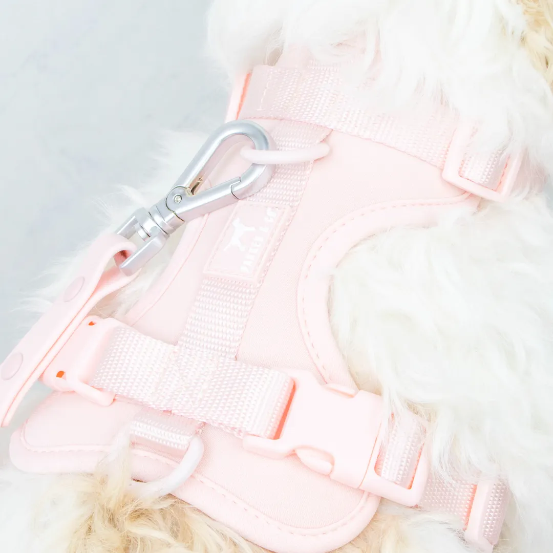 Solace Adjustable Dog Harness
