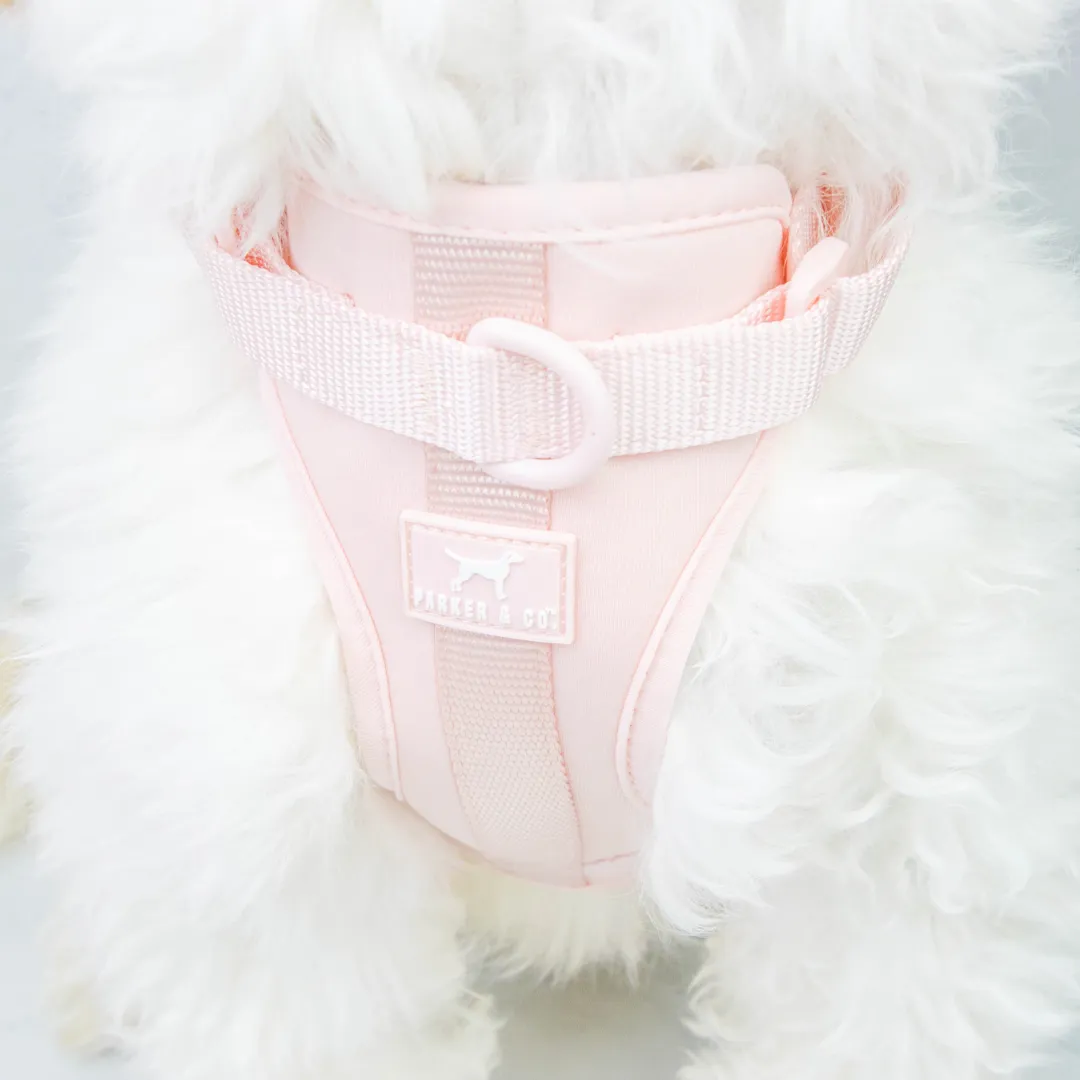Solace Adjustable Dog Harness