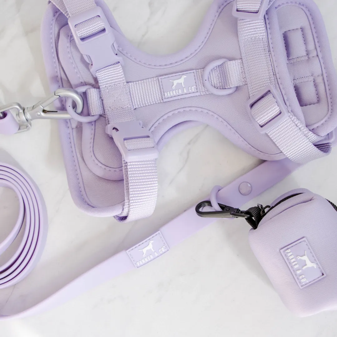 Solace Adjustable Dog Harness