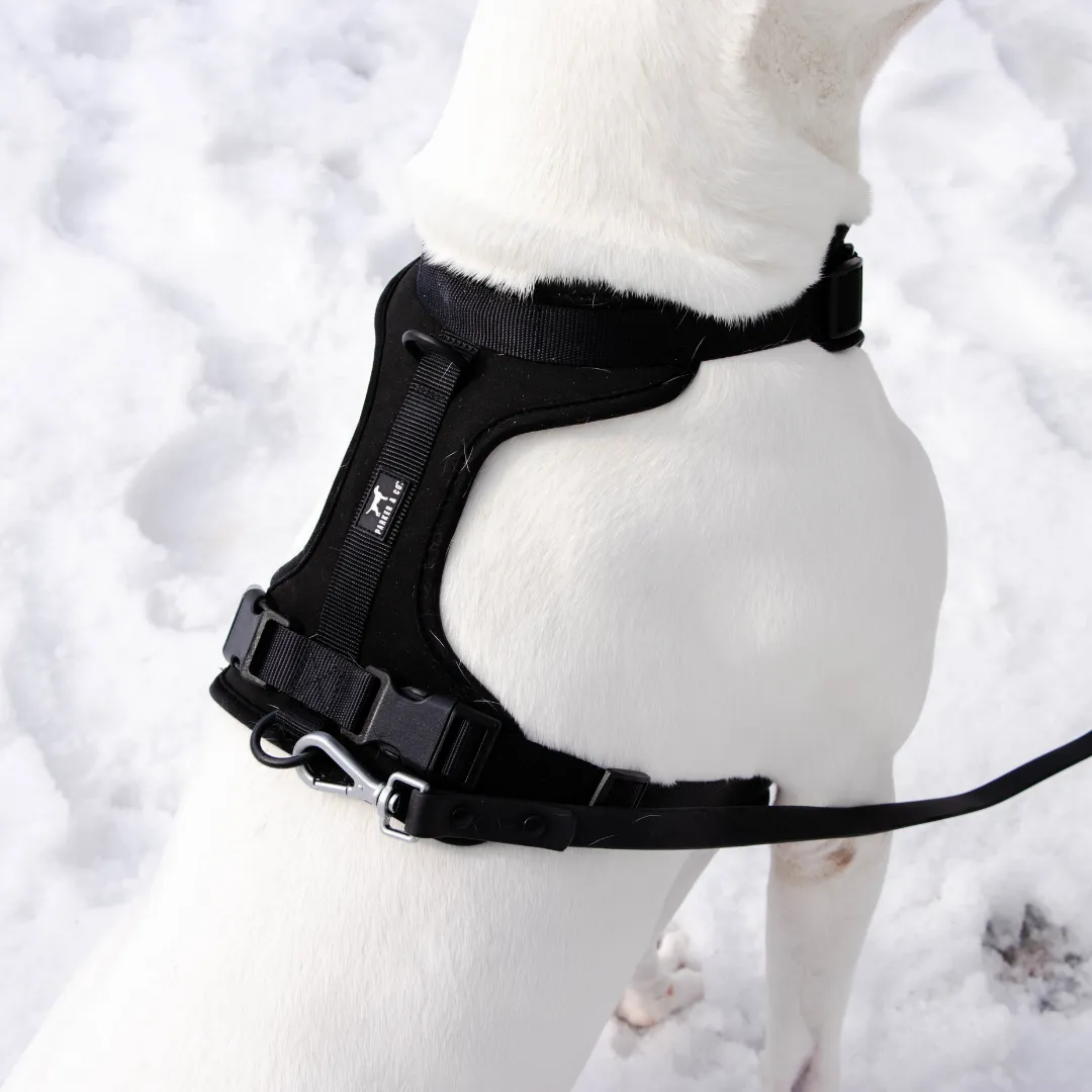 Solace Adjustable Dog Harness