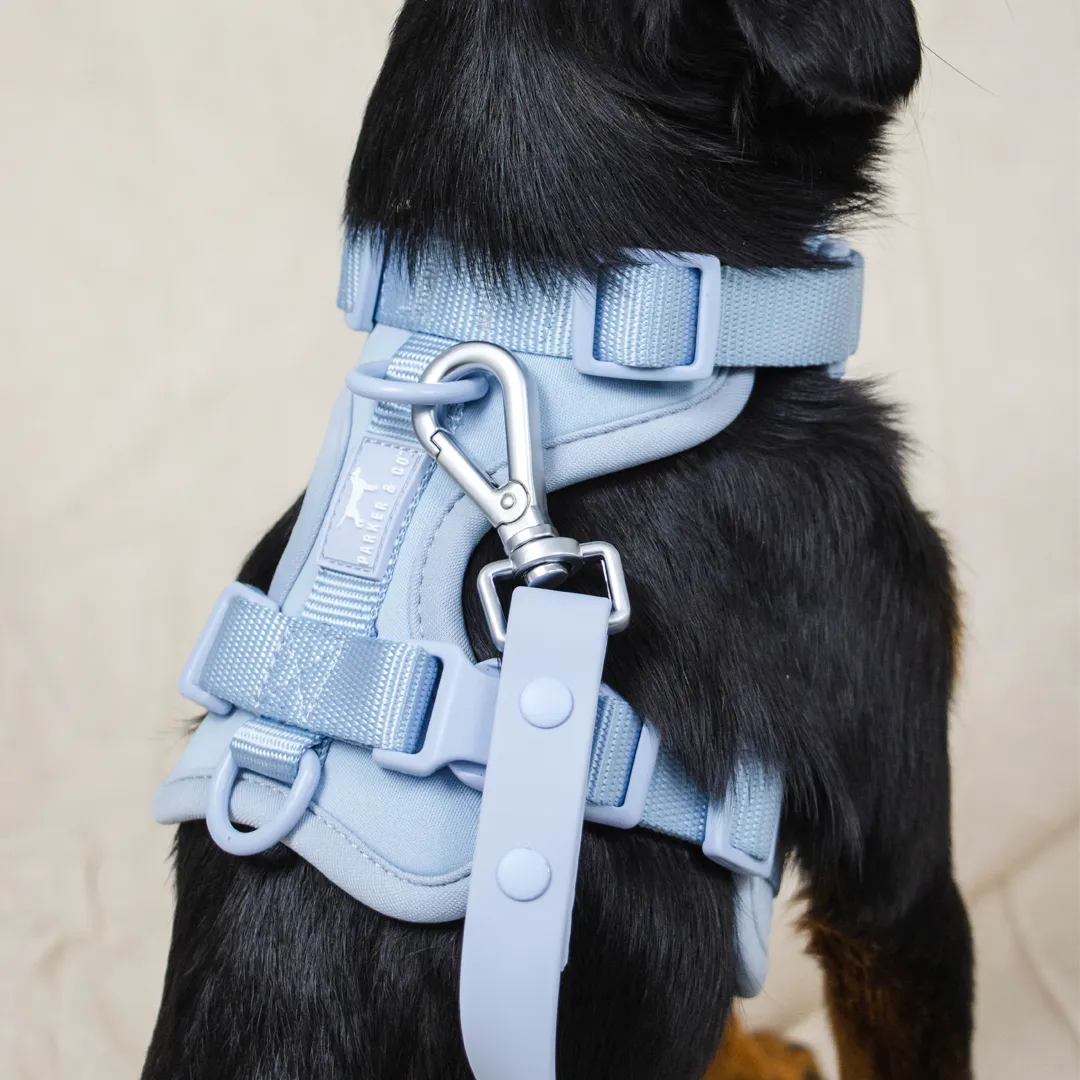 Solace Adjustable Dog Harness