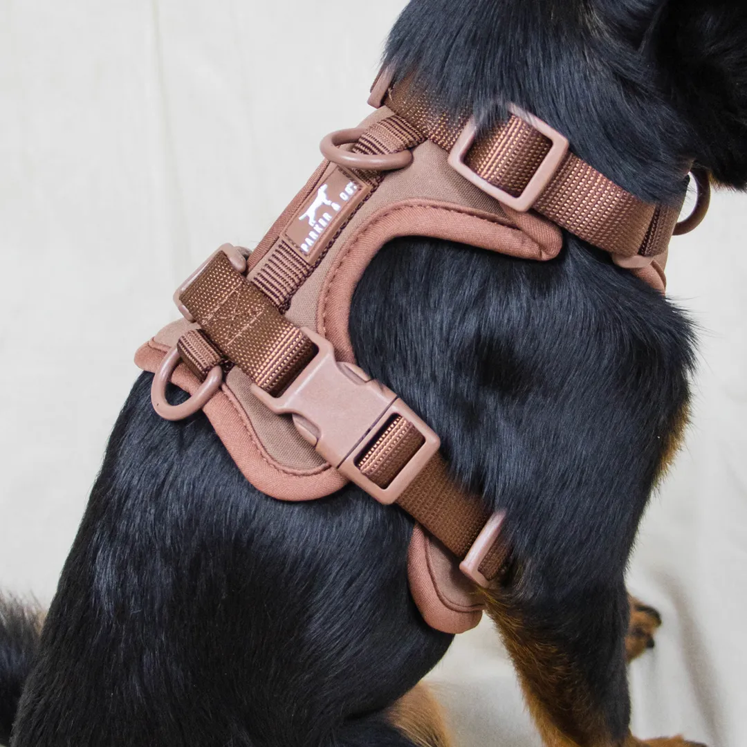 Solace Adjustable Dog Harness