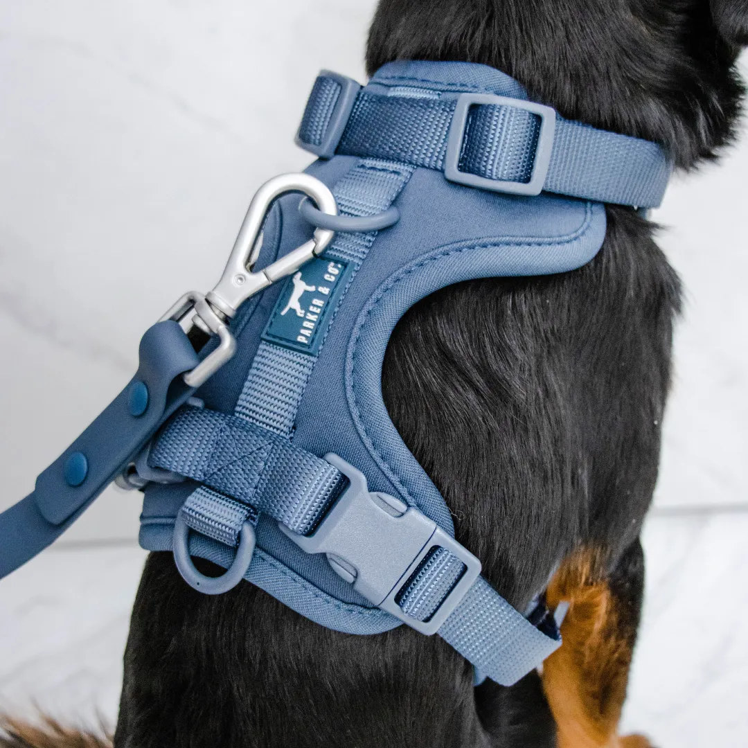 Solace Adjustable Dog Harness