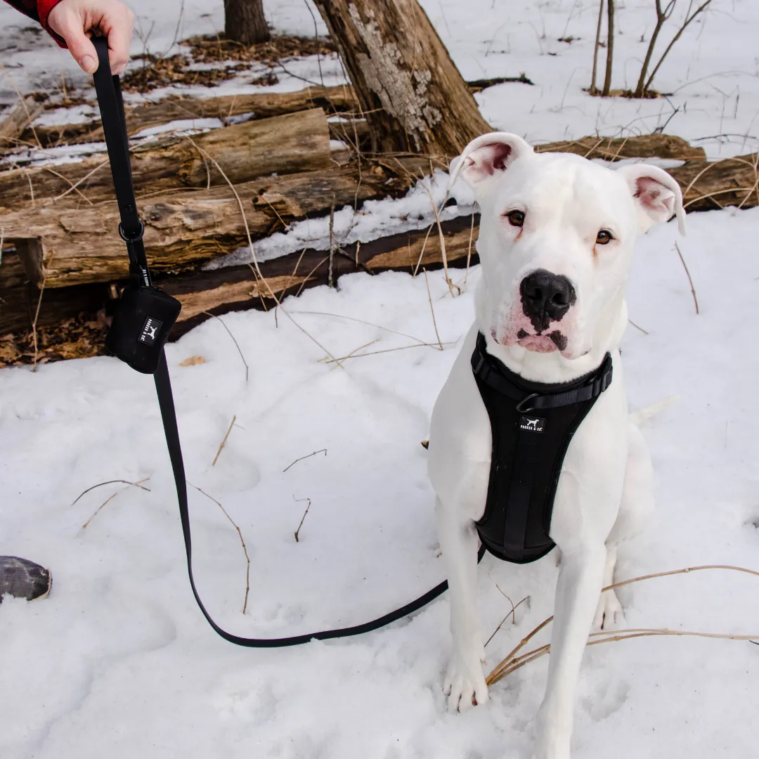 Solace Adjustable Dog Harness