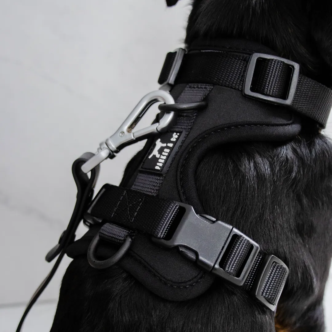 Solace Adjustable Dog Harness