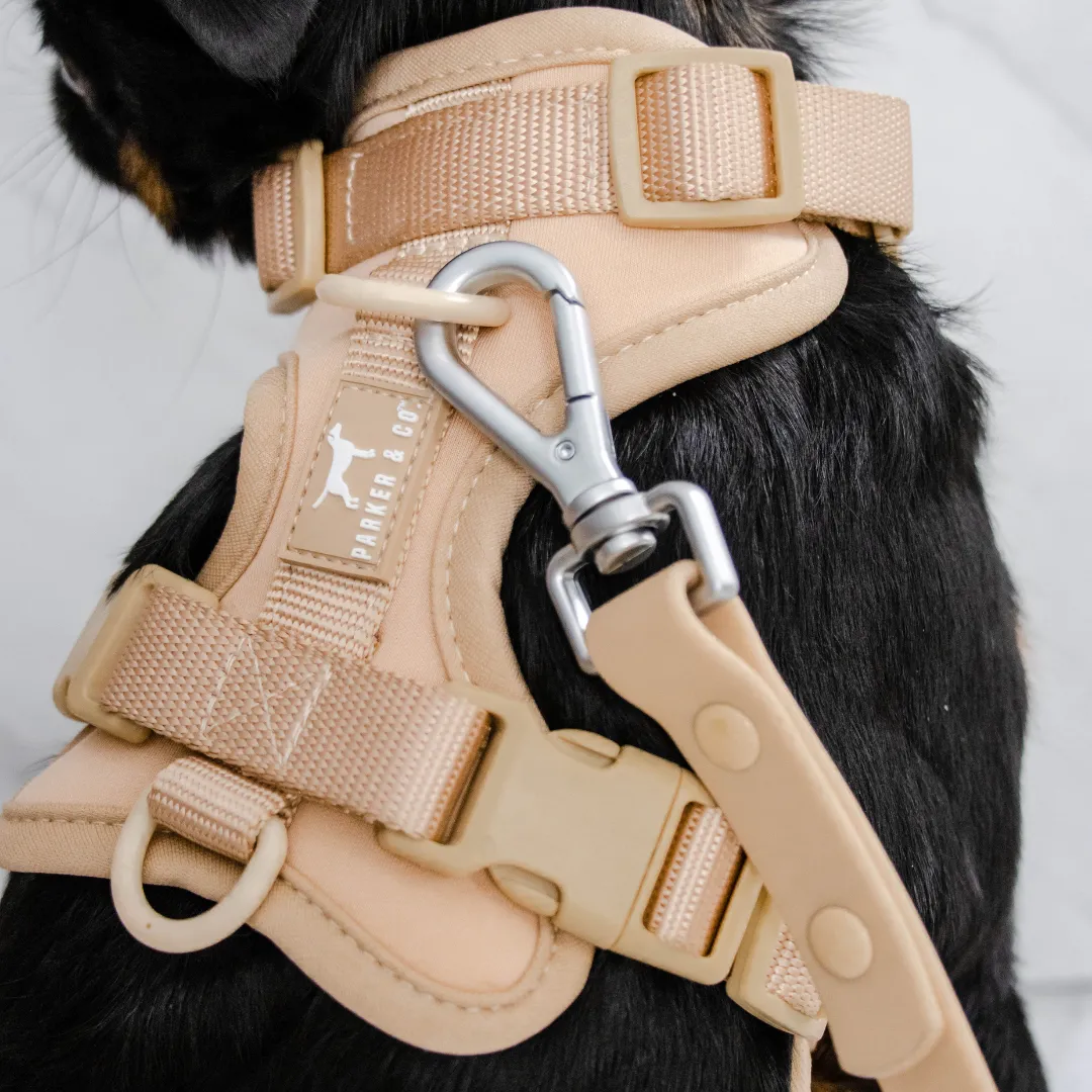 Solace Adjustable Dog Harness