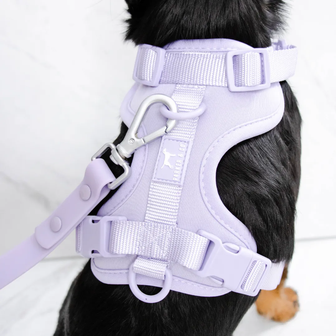 Solace Adjustable Dog Harness