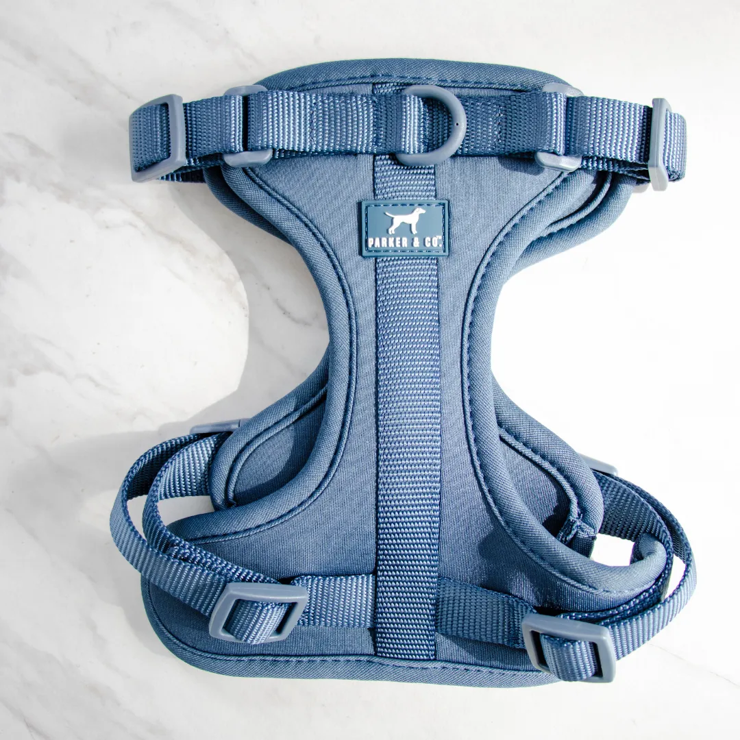 Solace Adjustable Dog Harness