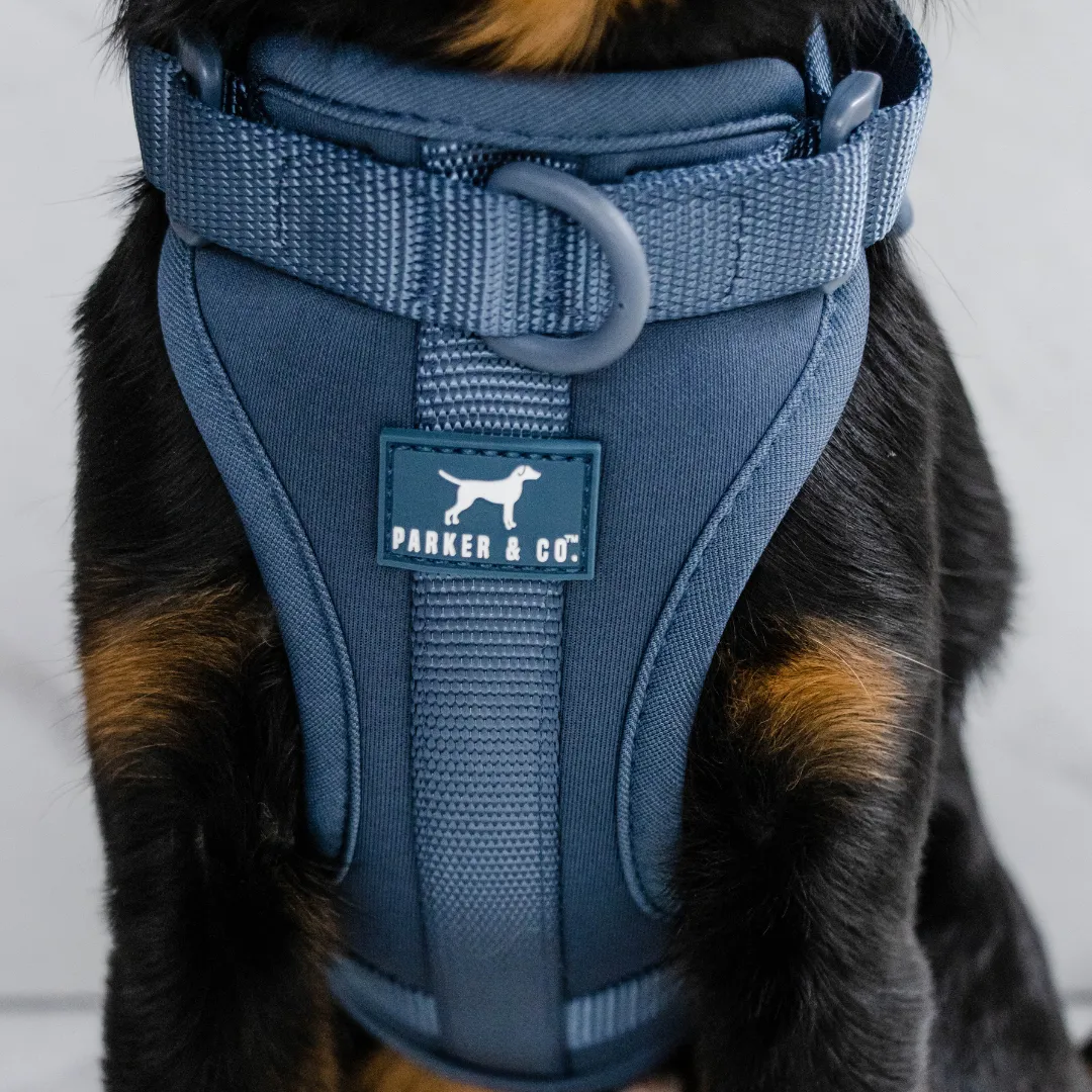 Solace Adjustable Dog Harness