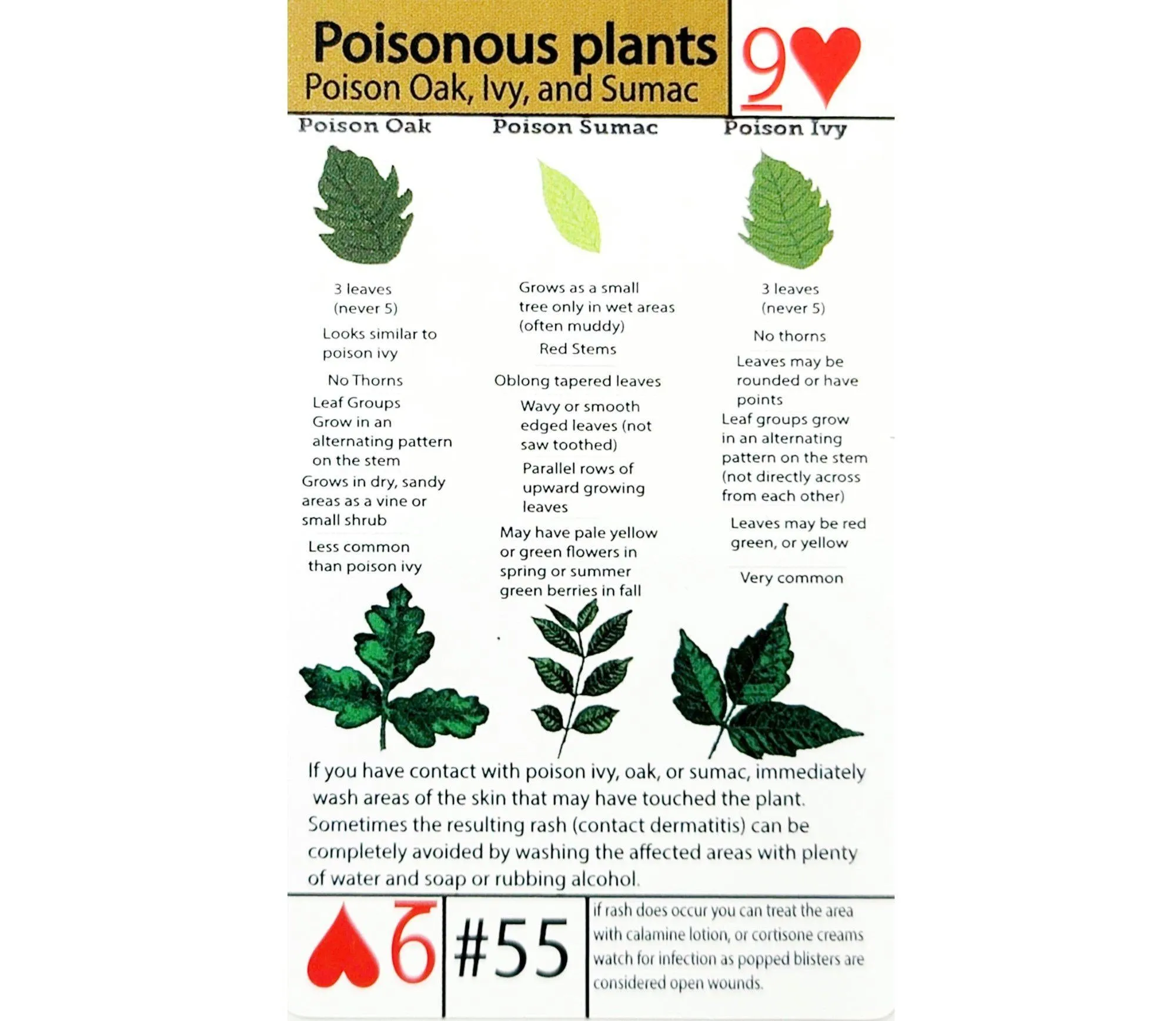 Tip Card #55 Poisonous Plant Identification